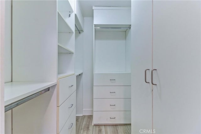 walk in closet featuring light wood-type flooring