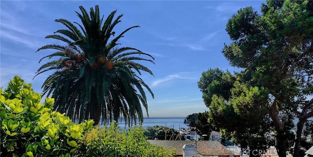 view of water feature