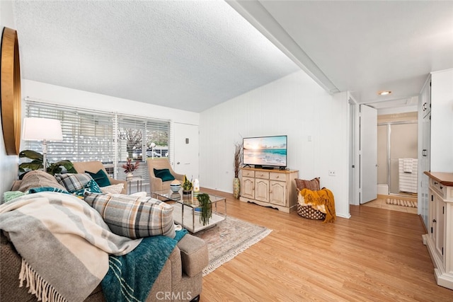 living room featuring a textured ceiling and light wood-type flooring