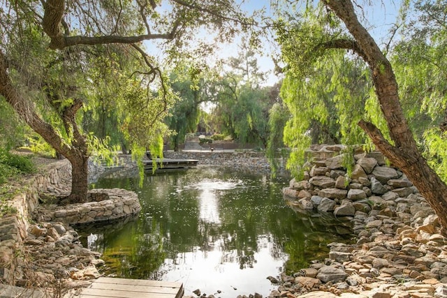 view of home's community with a water view