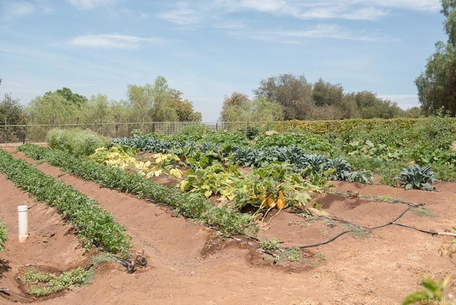 view of yard featuring a garden, fence, and a rural view