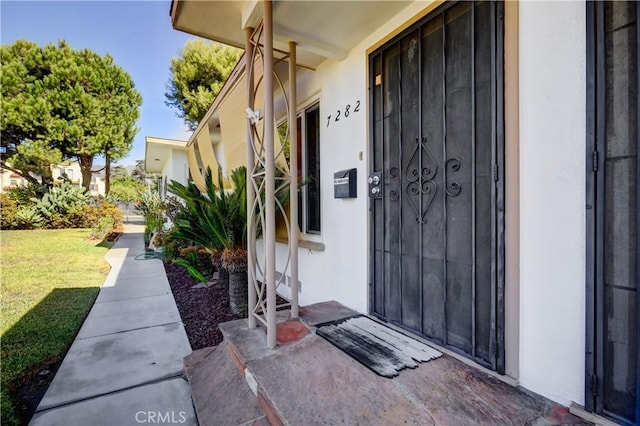 view of exterior entry featuring a lawn and stucco siding