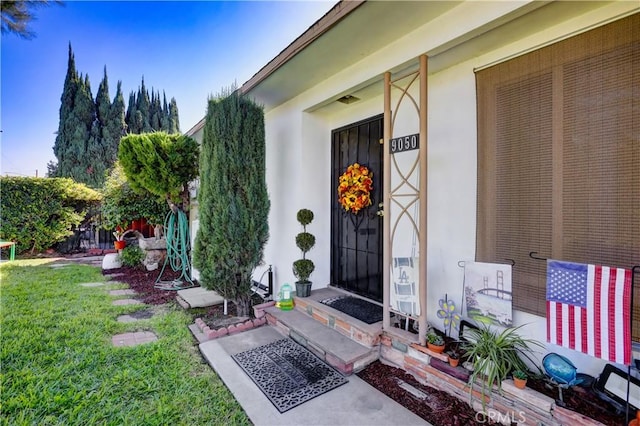 view of exterior entry with a lawn and stucco siding