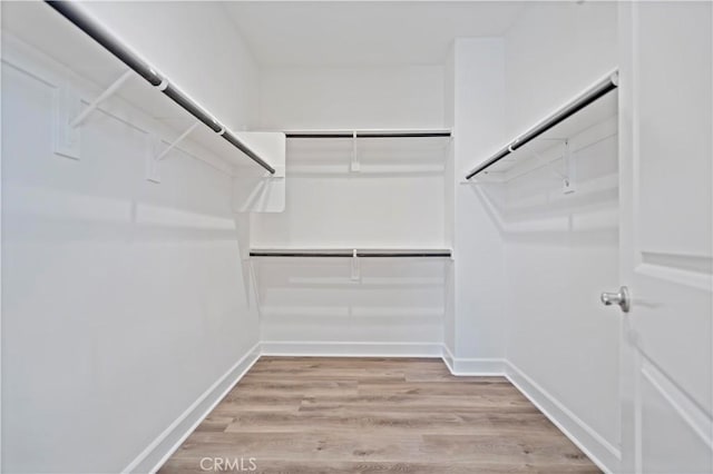 walk in closet featuring light wood-style flooring