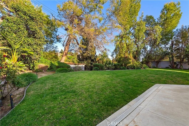 view of yard featuring a patio area