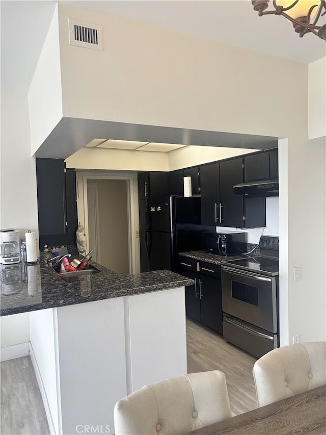 kitchen with electric stove, dark cabinetry, a sink, and under cabinet range hood