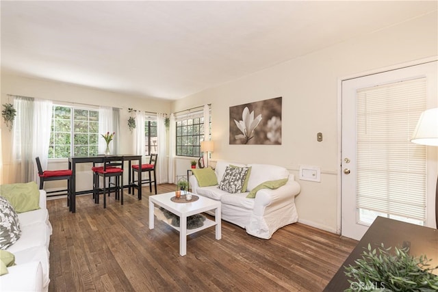 living area featuring plenty of natural light and wood finished floors