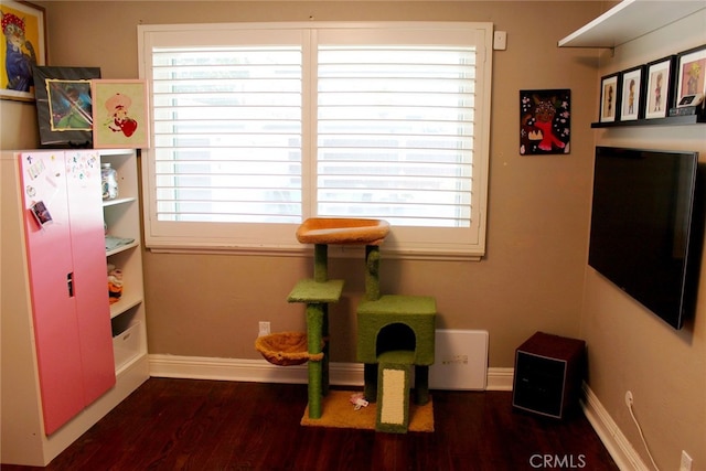 miscellaneous room featuring baseboards and wood finished floors