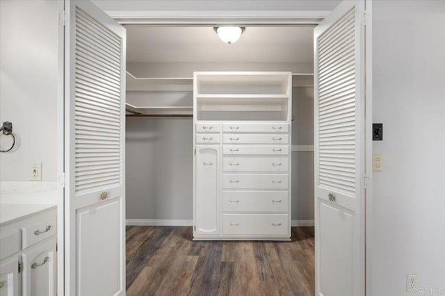 spacious closet featuring dark wood-style floors