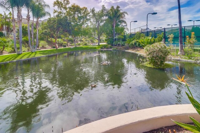 18752 Caminito Cantilena Unit 176, San Diego, CA 92128 - photo 49