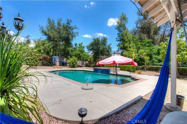 view of swimming pool featuring a fenced in pool, a patio, and fence