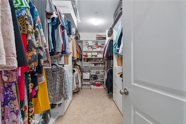 view of walk in closet