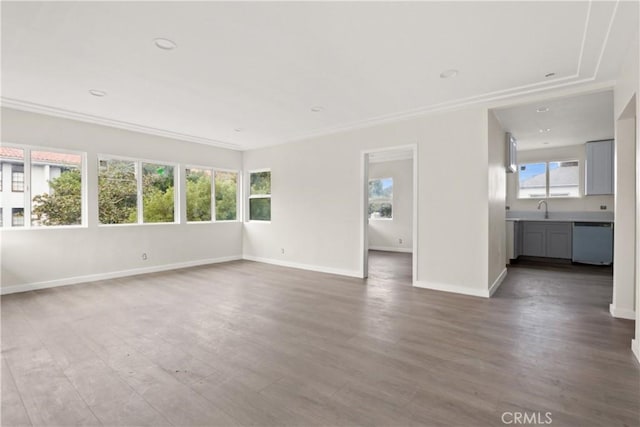 interior space with plenty of natural light, a sink, baseboards, and wood finished floors