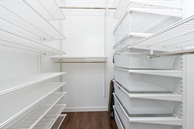 spacious closet featuring dark wood-style floors