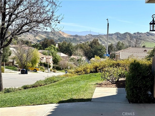 view of yard featuring a mountain view