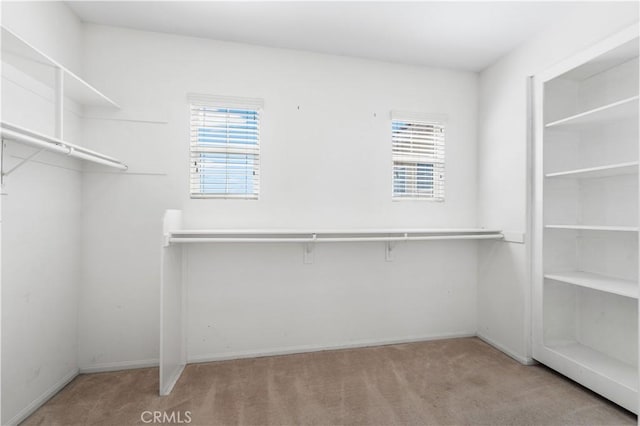 spacious closet with carpet floors