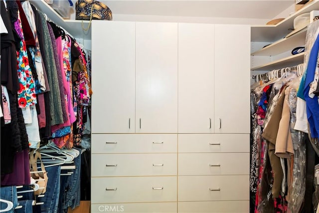 view of walk in closet