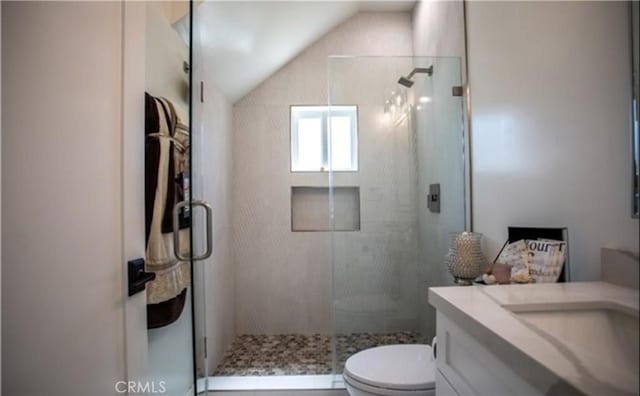 full bath featuring toilet, a shower stall, vaulted ceiling, and vanity