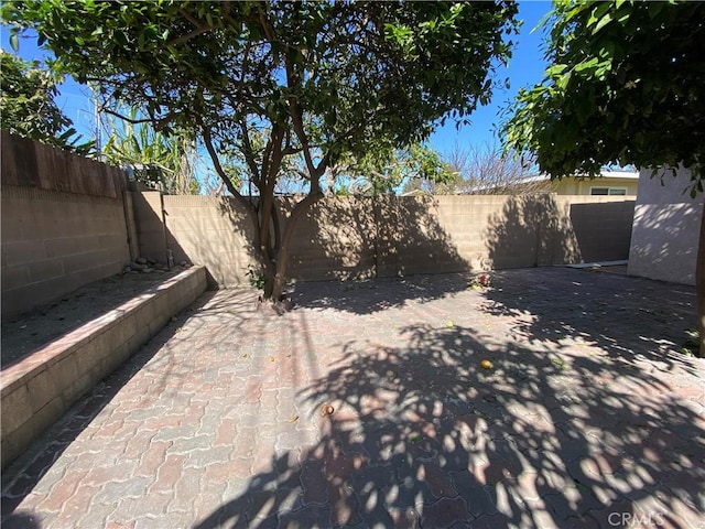 view of yard with a patio area and a fenced backyard