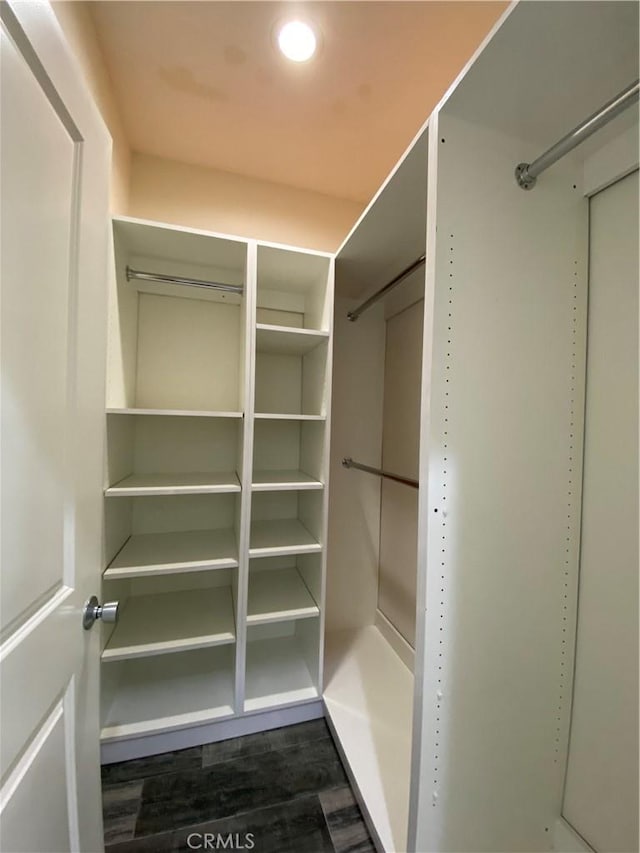 spacious closet featuring dark wood-style flooring