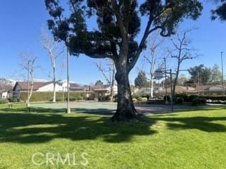 view of property's community featuring a lawn