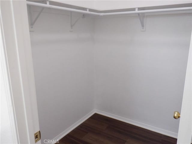 spacious closet featuring dark wood-style flooring