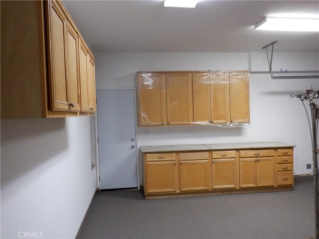 kitchen featuring light countertops