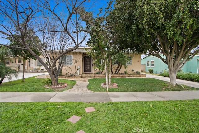 view of front of house featuring a front yard and stucco siding