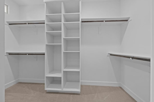 spacious closet featuring carpet floors