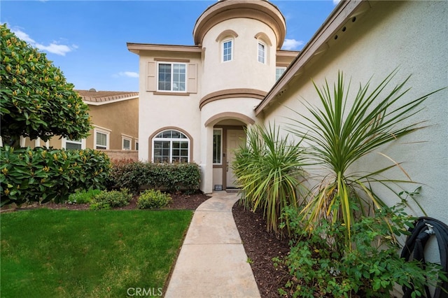 entrance to property featuring a yard and stucco siding