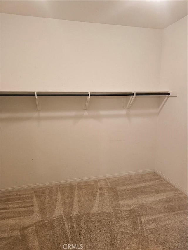 walk in closet featuring carpet floors