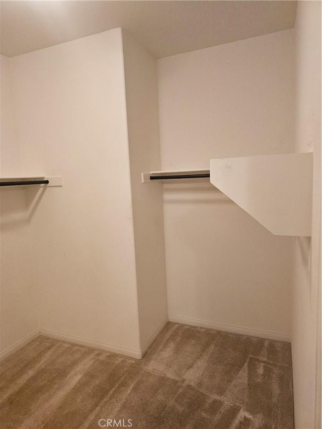 spacious closet with carpet flooring