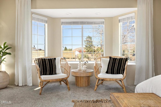 sitting room with carpet floors