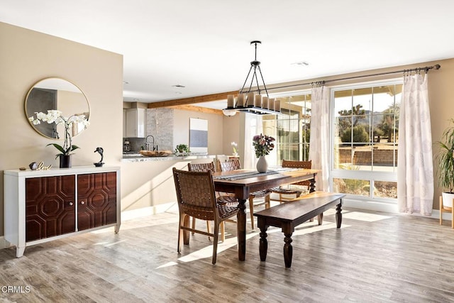 dining room with light wood finished floors and a chandelier