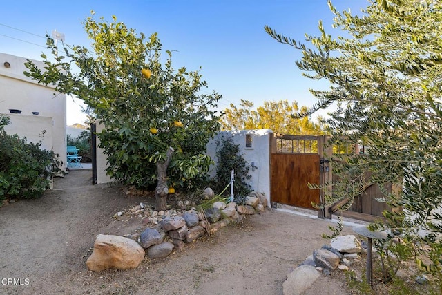 view of yard with a gate and fence