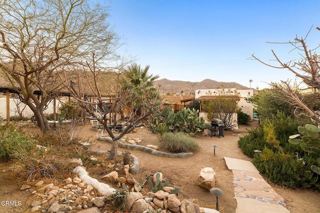 view of yard with a mountain view