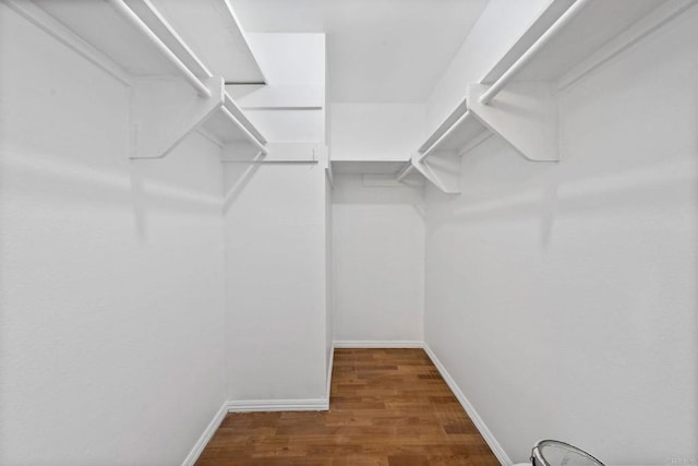 walk in closet with wood finished floors