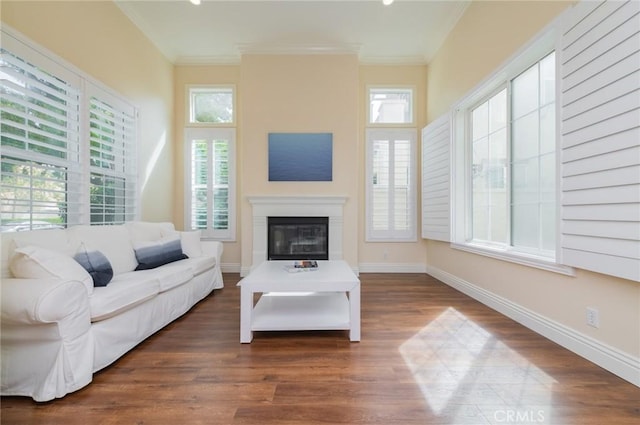 living area featuring ornamental molding, dark wood-style flooring, and baseboards