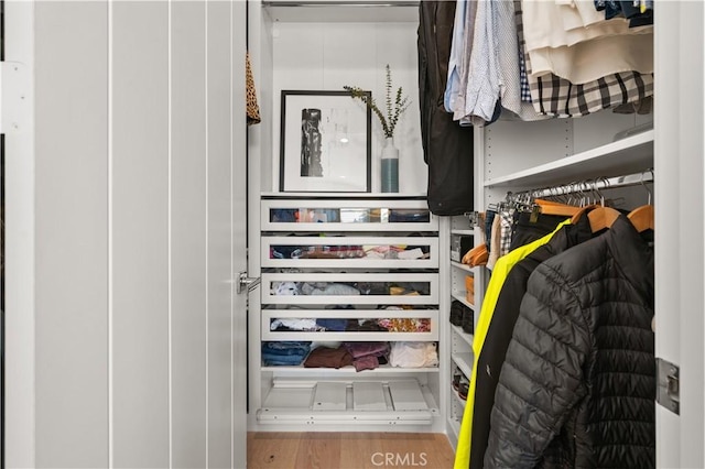 view of closet