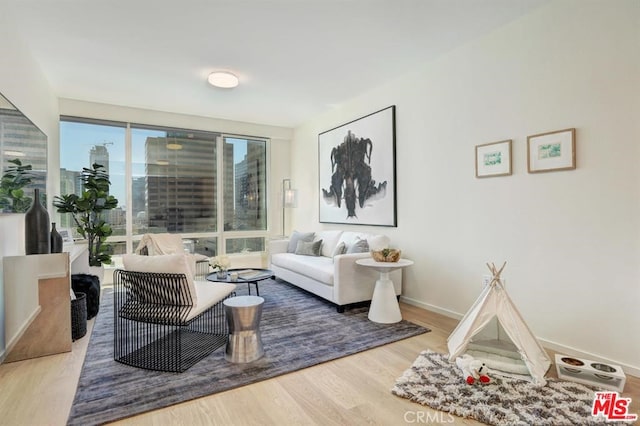 living room with wood finished floors and baseboards