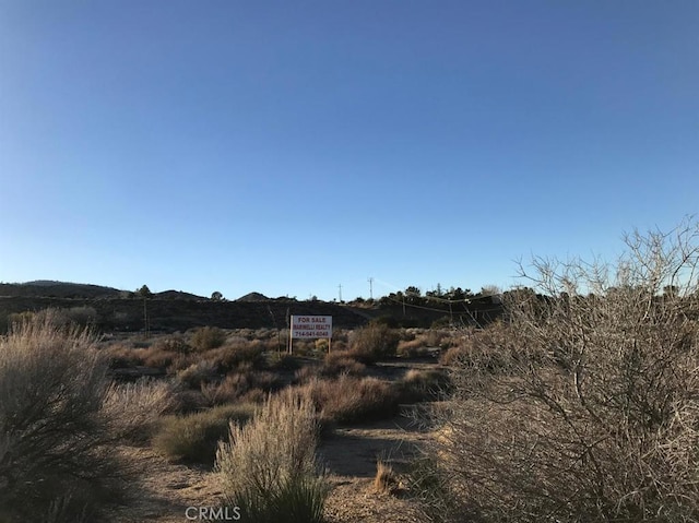 92850 Green Rd, Pinon Hills CA, 92372 land for sale