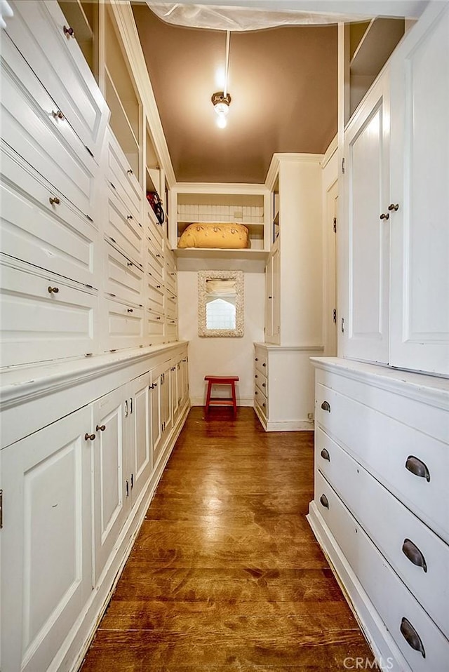 mudroom with dark wood-type flooring