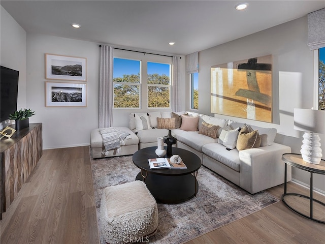 living area featuring baseboards, wood finished floors, and recessed lighting