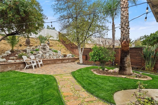 view of yard featuring a patio area and a fenced backyard