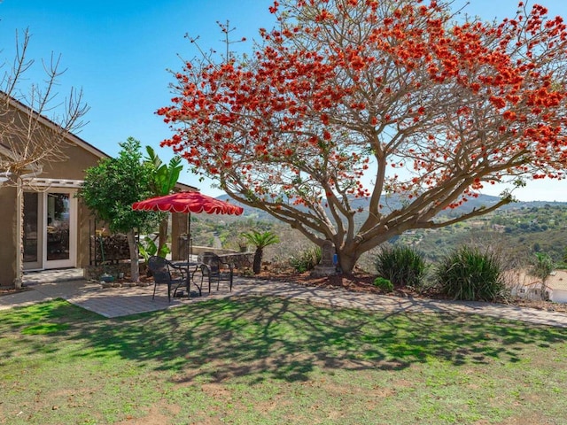 view of yard with a patio area