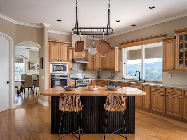 kitchen featuring tasteful backsplash, arched walkways, stainless steel appliances, under cabinet range hood, and a sink