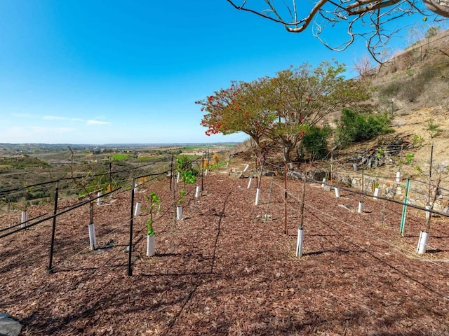 view of yard featuring fence and a rural view