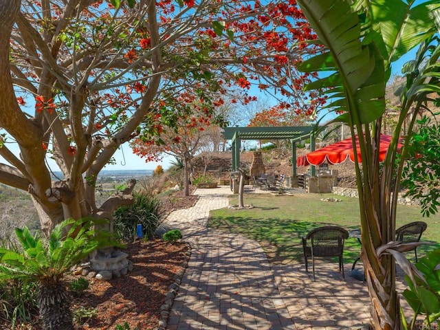 view of property's community featuring a yard, a patio area, and a pergola