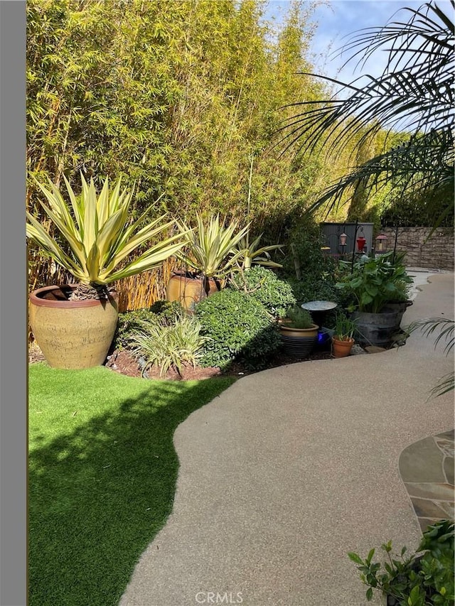 view of home's community with a patio area and a yard