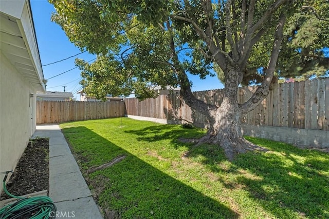 view of yard featuring a fenced backyard